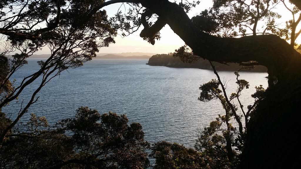 Auckland Clifftop Villa Room photo