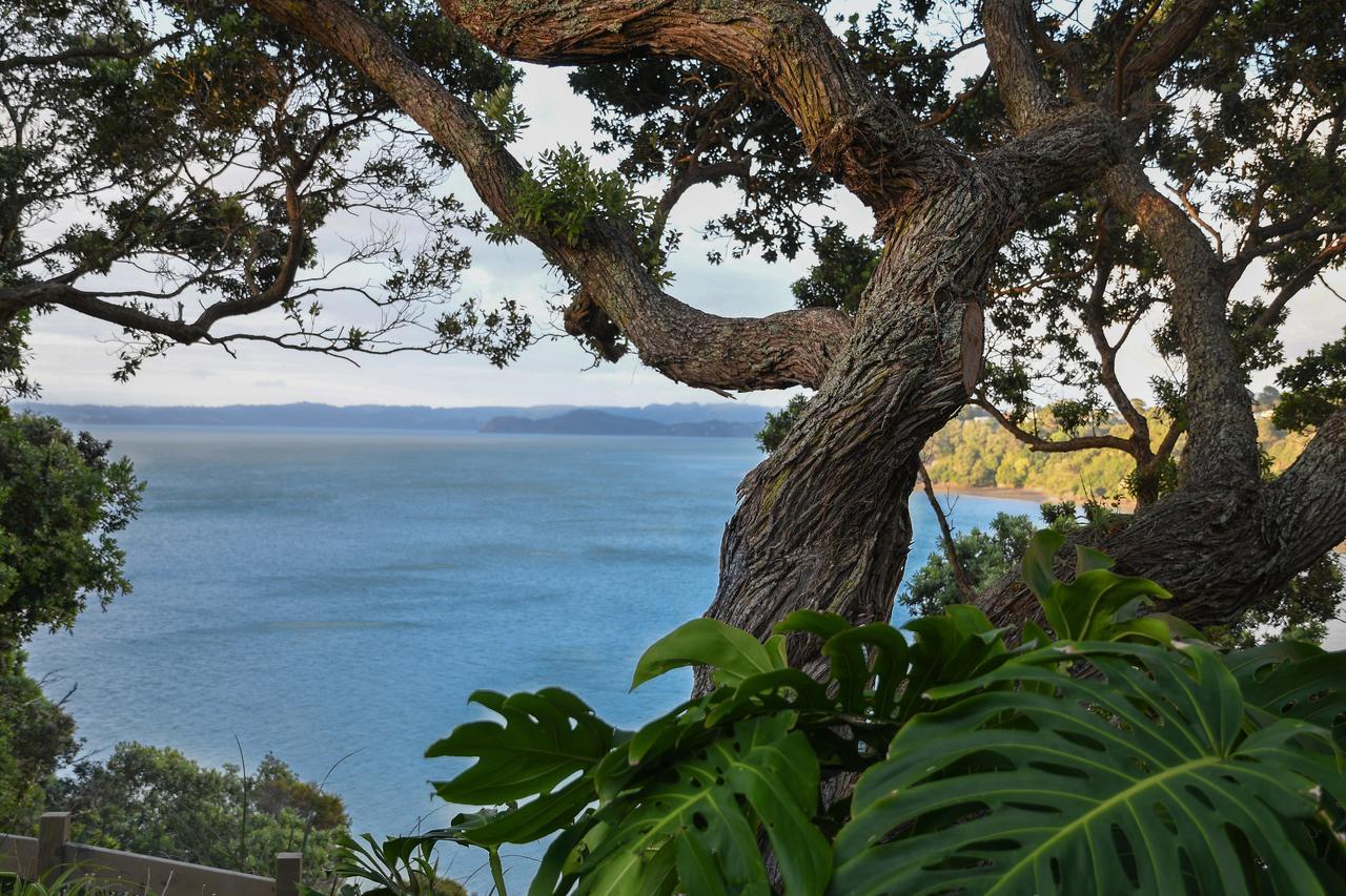 Auckland Clifftop Villa Exterior photo